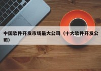 中國軟件開發(fā)市場最大公司（十大軟件開發(fā)公司）