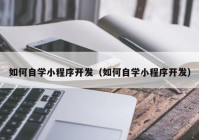 如何自學(xué)小程序開發(fā)（如何自學(xué)小程序開發(fā)）