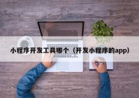 小程序開發(fā)工具哪個（開發(fā)小程序的app）