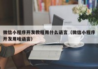 微信小程序開發(fā)教程用什么語言（微信小程序開發(fā)用啥語言）