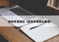 軟件開發(fā)崗位（軟件開發(fā)崗位要求）