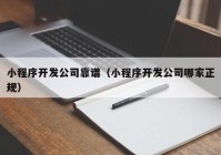 小程序開發(fā)公司靠譜（小程序開發(fā)公司哪家正規(guī)）