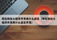 現(xiàn)在微信小程序開發(fā)用什么語言（現(xiàn)在微信小程序開發(fā)用什么語言開發(fā)）