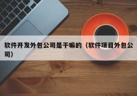 軟件開發(fā)外包公司是干嘛的（軟件項目外包公司）