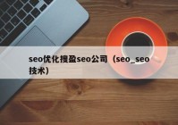 seo優(yōu)化搜盈seo公司（seo_seo技術）