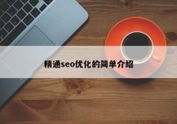 精通seo優(yōu)化的簡(jiǎn)單介紹