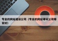 專業(yè)的網站建設公司（專業(yè)的網站建設公司哪家好）