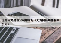 無為網(wǎng)站建設公司哪家好（無為網(wǎng)新媒體有限公司）