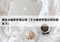 湖北小程序開發(fā)公司（下小程序開發(fā)公司華網(wǎng)天下）