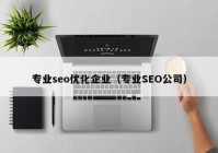 專業(yè)seo優(yōu)化企業(yè)（專業(yè)SEO公司）