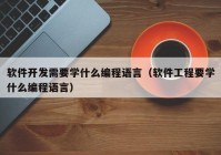 軟件開發(fā)需要學什么編程語言（軟件工程要學什么編程語言）