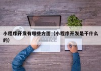 小程序開發(fā)有哪些方面（小程序開發(fā)是干什么的）