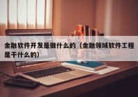 金融軟件開發(fā)是做什么的（金融領(lǐng)域軟件工程是干什么的）