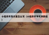 小程序開發(fā)方案怎么寫（小程序開發(fā)實例教程）