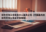 軟件開發(fā)公司有多少人是大公司（中國最大的軟件開發(fā)公司名字有哪些）