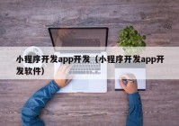 小程序開發(fā)app開發(fā)（小程序開發(fā)app開發(fā)軟件）