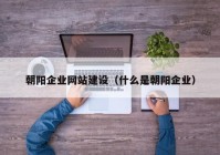 朝陽企業(yè)網(wǎng)站建設(shè)（什么是朝陽企業(yè)）