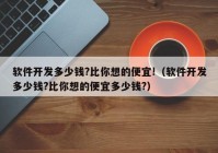 軟件開發(fā)多少錢?比你想的便宜!（軟件開發(fā)多少錢?比你想的便宜多少錢?）