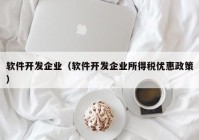 軟件開發(fā)企業(yè)（軟件開發(fā)企業(yè)所得稅優(yōu)惠政策）