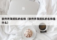 軟件開發(fā)團隊的名稱（軟件開發(fā)團隊的名稱是什么）