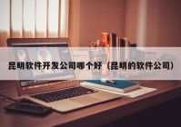 昆明軟件開發(fā)公司哪個好（昆明的軟件公司）