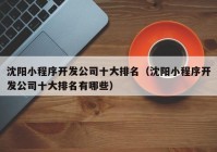 沈陽小程序開發(fā)公司十大排名（沈陽小程序開發(fā)公司十大排名有哪些）