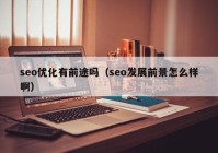 seo優(yōu)化有前途嗎（seo發(fā)展前景怎么樣啊）