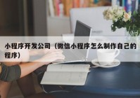 小程序開發(fā)公司（微信小程序怎么制作自己的程序）