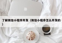 了解微信小程序開發(fā)（微信小程序怎么開發(fā)的）