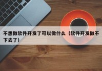 不想做軟件開發(fā)了可以做什么（軟件開發(fā)做不下去了）