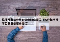 軟件開發(fā)公務(wù)員有哪些職業(yè)崗位（軟件技術(shù)報(bào)考公務(wù)員是哪些崗位）