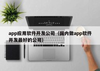 app應用軟件開發(fā)公司（國內做app軟件開發(fā)最好的公司）