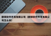 群碩軟件開發(fā)有限公司（群碩軟件開發(fā)有限公司怎么樣）