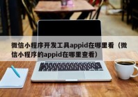 微信小程序開發(fā)工具appid在哪里看（微信小程序的appid在哪里查看）